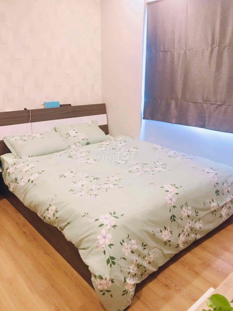 4329199 ảnh đại diện 1