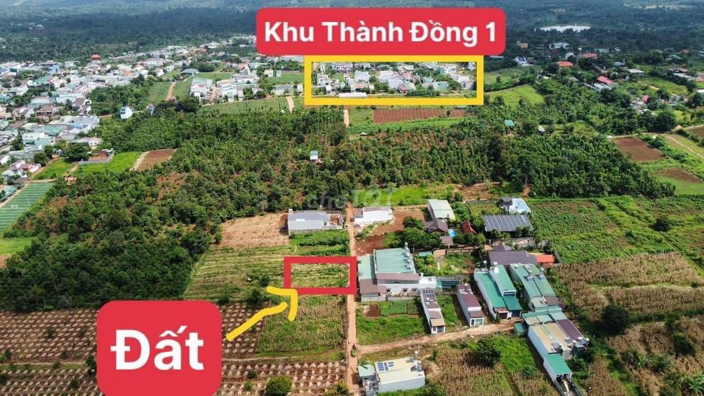 4328194 ảnh đại diện 1