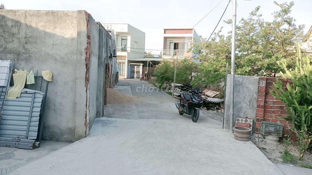 4335730 ảnh đại diện 1