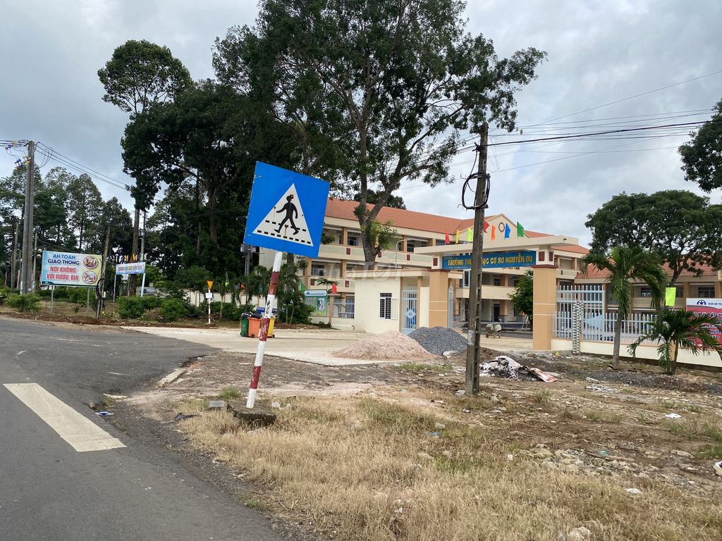 4329934 ảnh đại diện 1