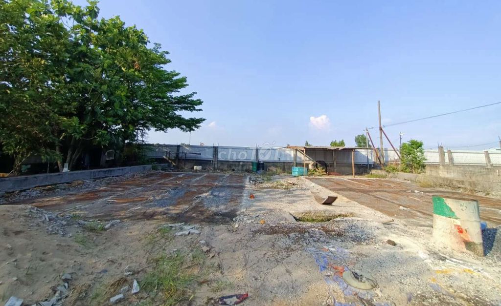 4329264 ảnh đại diện 1