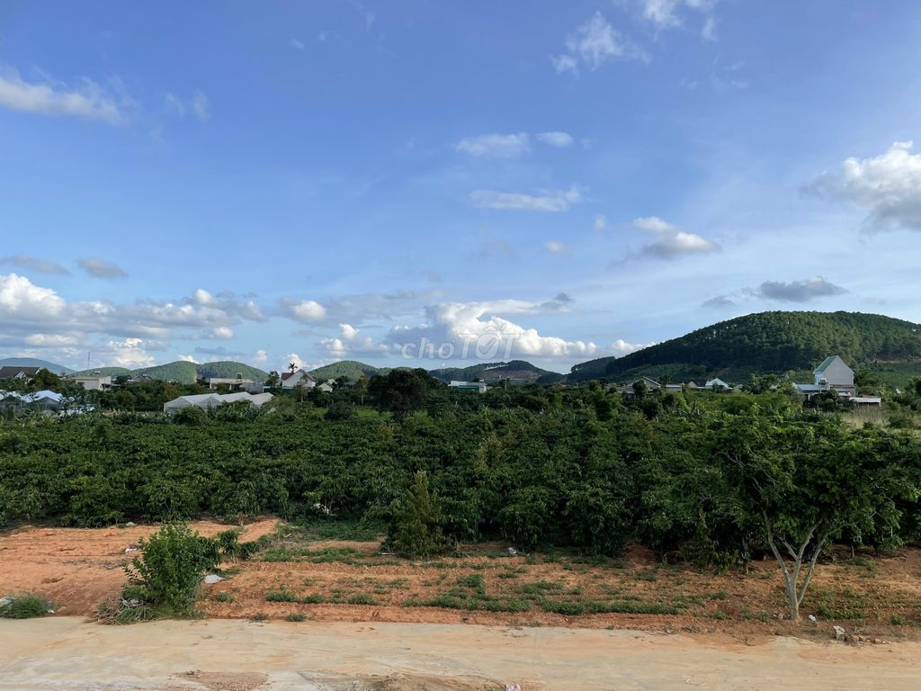 4330248 ảnh đại diện 1