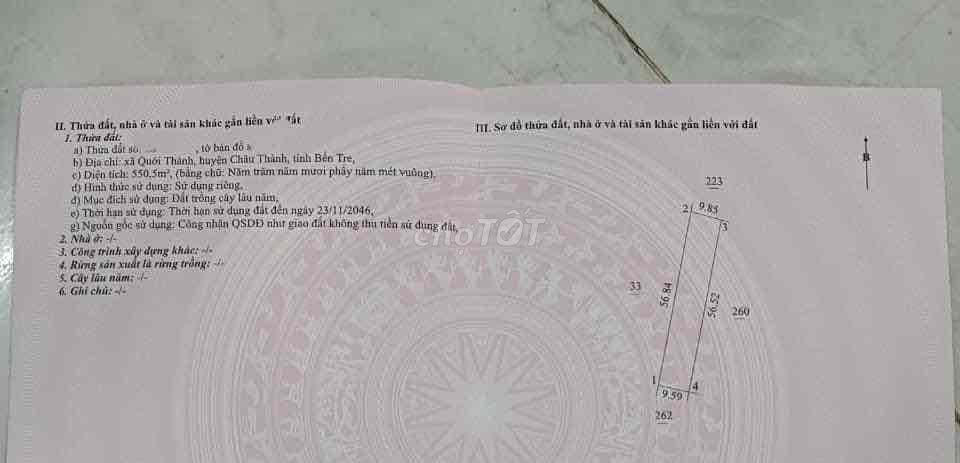 4327732 ảnh đại diện 2