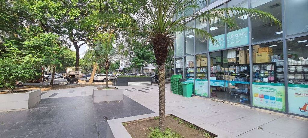 4328706 ảnh đại diện 2