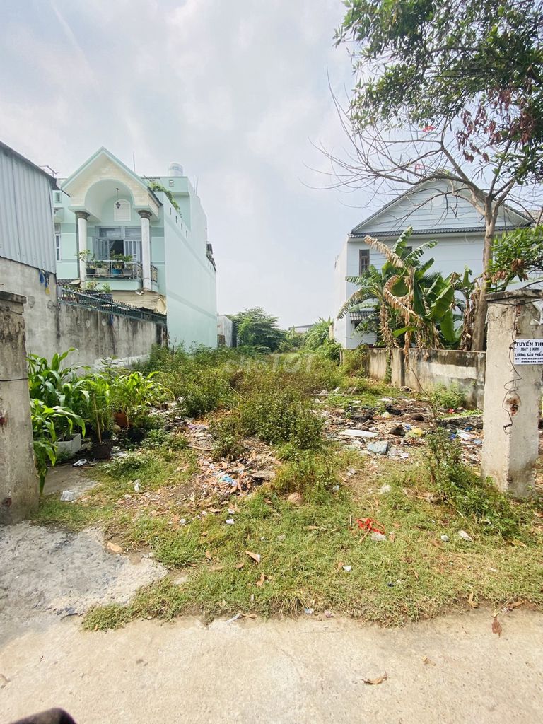 4330966 ảnh đại diện 2