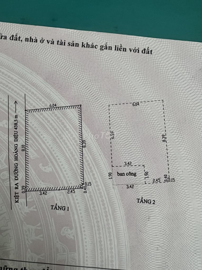4328805 ảnh đại diện 1