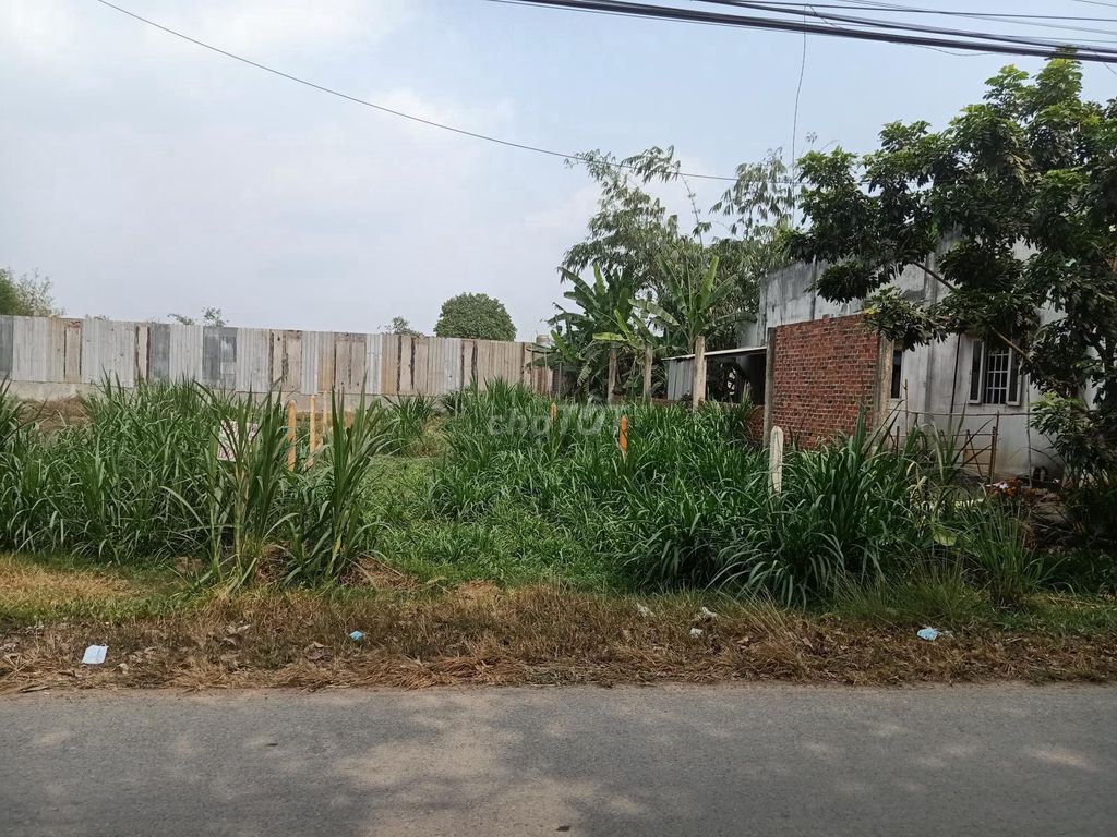4330492 ảnh đại diện 1