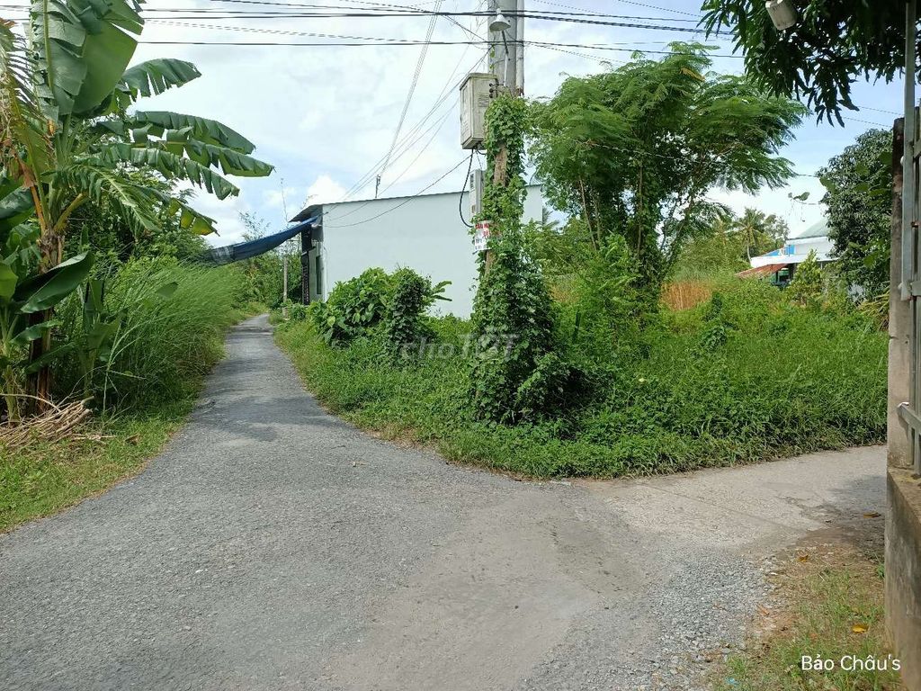4329797 ảnh đại diện 1