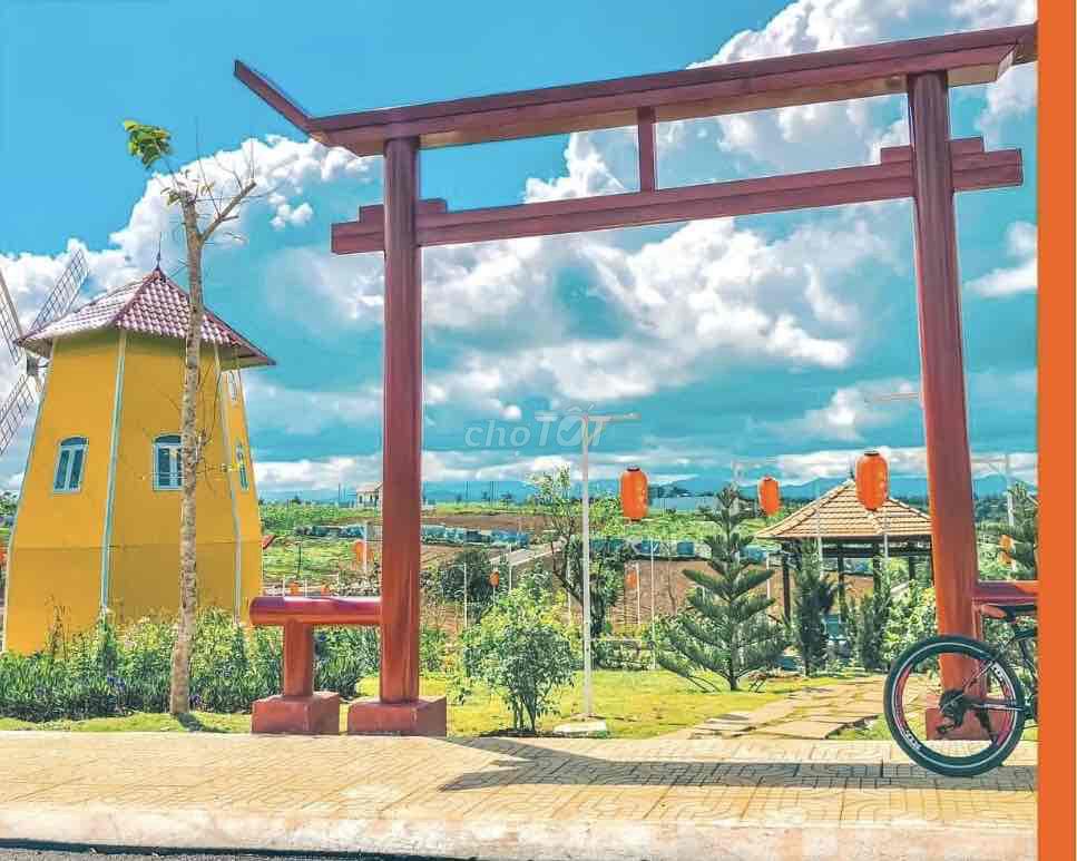 4329069 ảnh đại diện 1