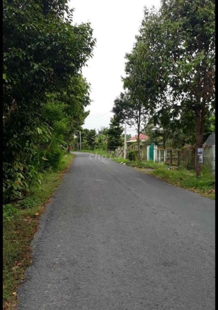 4330911 ảnh đại diện 1
