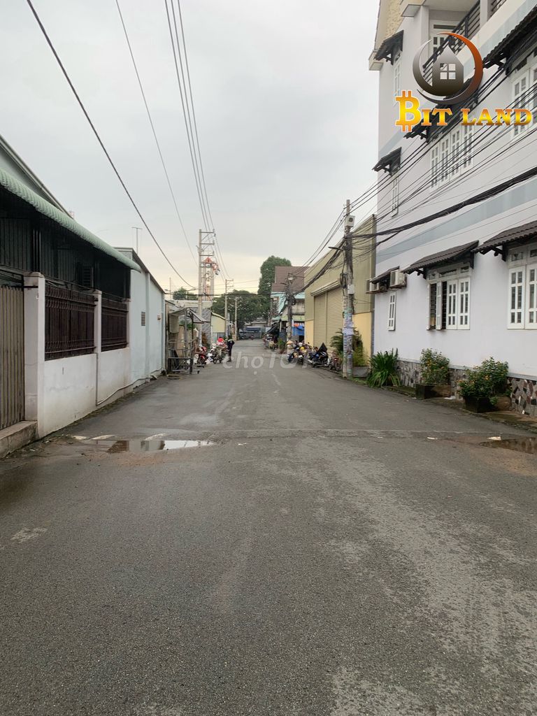 4328712 ảnh đại diện 2