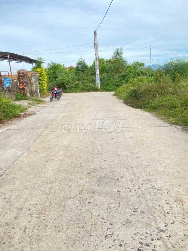 4329848 ảnh đại diện 2