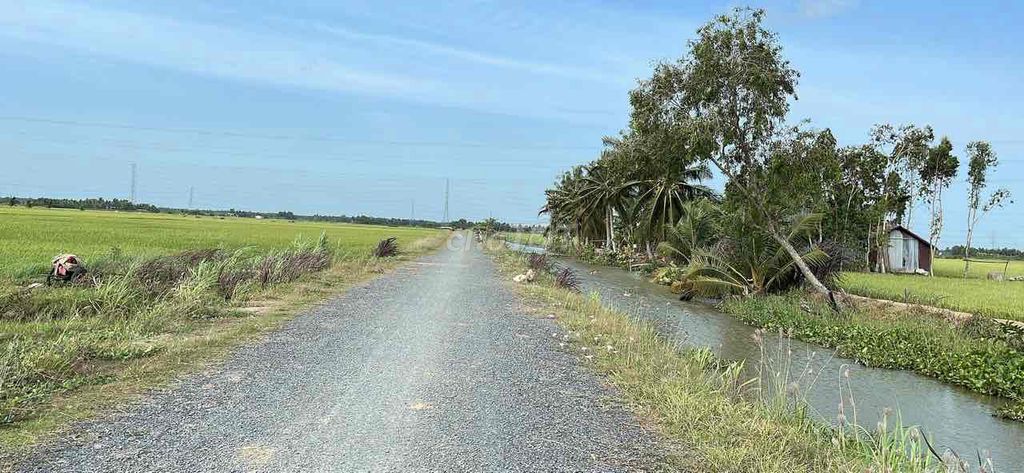 4330410 ảnh đại diện 2