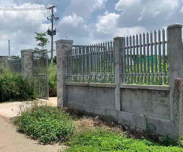 4329765 ảnh đại diện 1