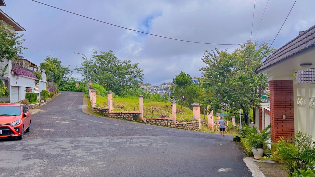 4331168 ảnh đại diện 1