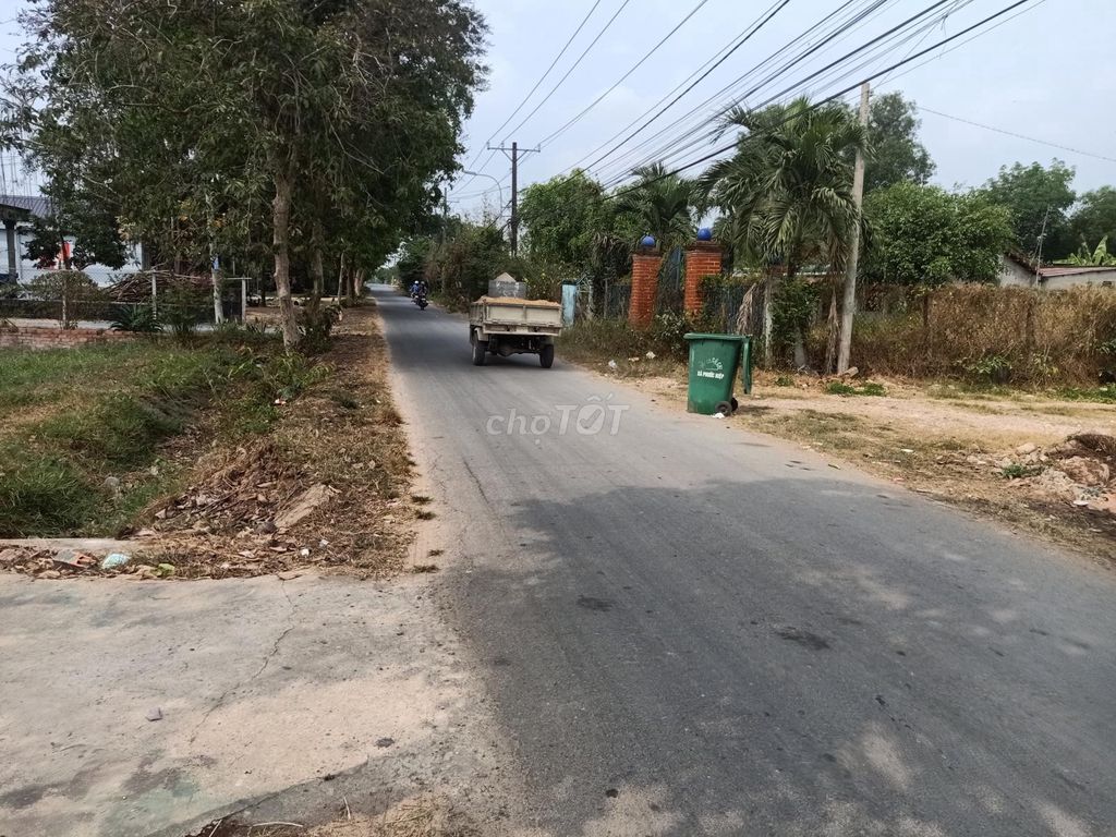 4330492 ảnh đại diện 2