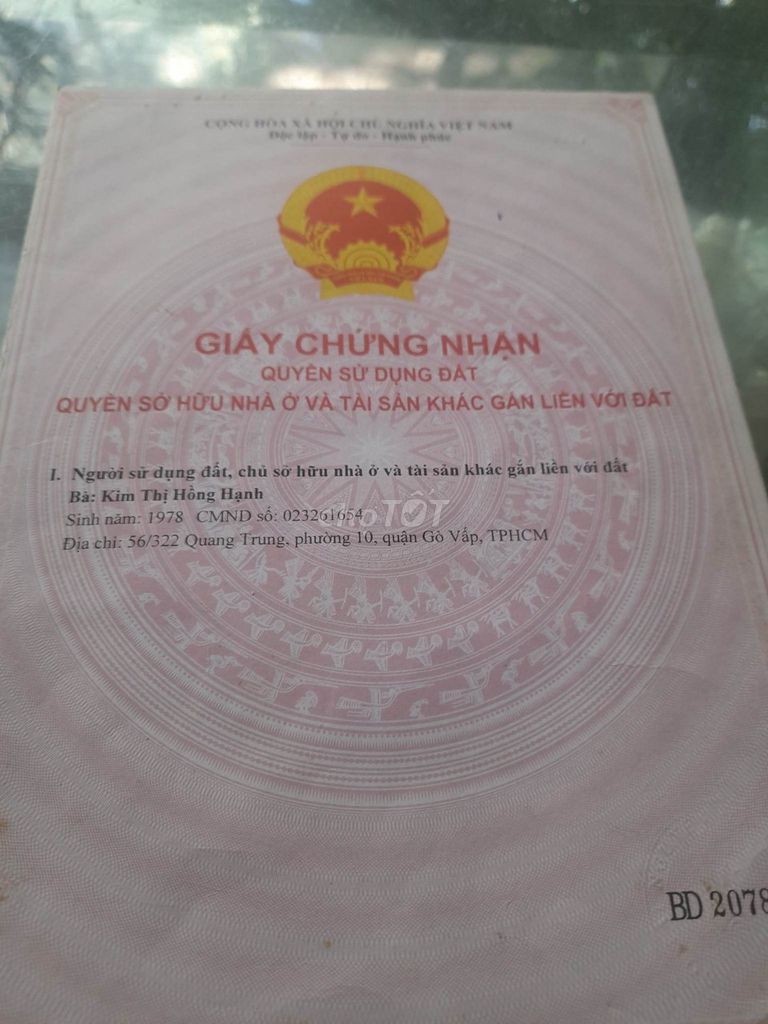 4328020 ảnh đại diện 2