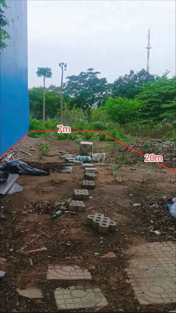 4329057 ảnh đại diện 1