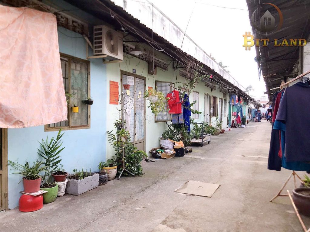 4334978 ảnh đại diện 2