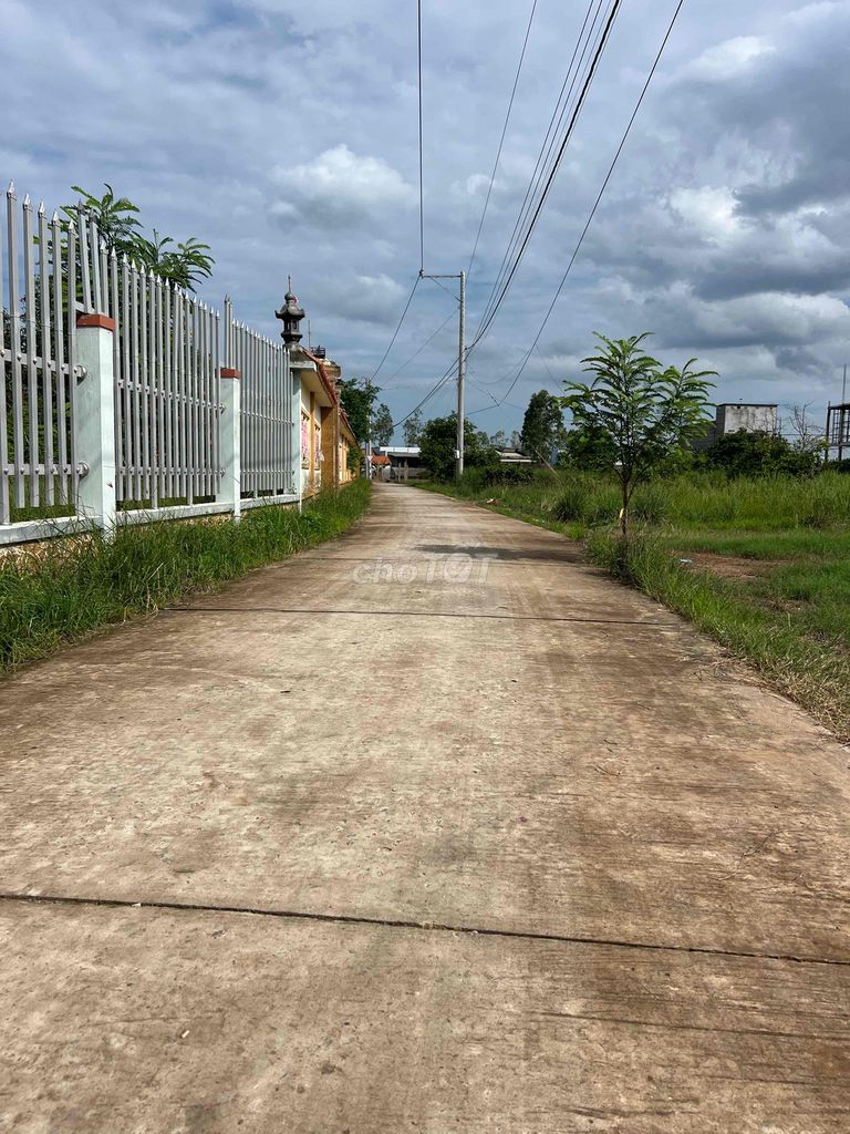4330551 ảnh đại diện 2