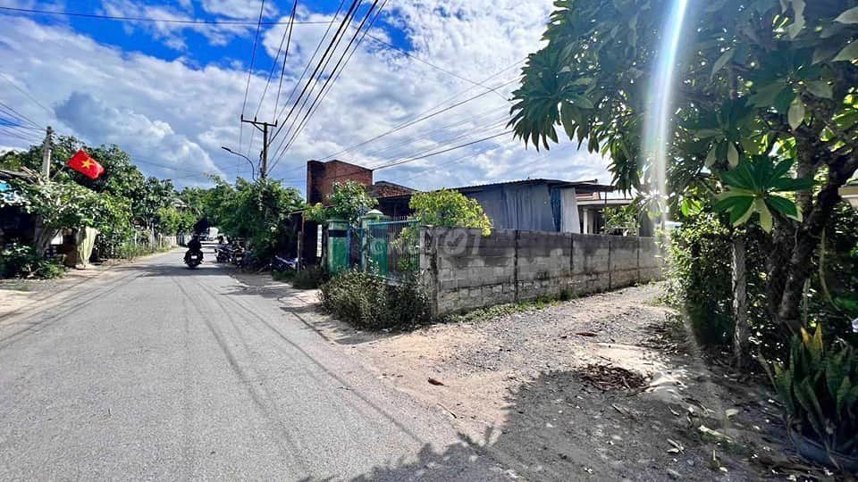 4328035 ảnh đại diện 2