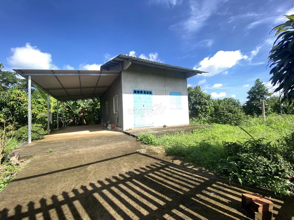 4330110 ảnh đại diện 1