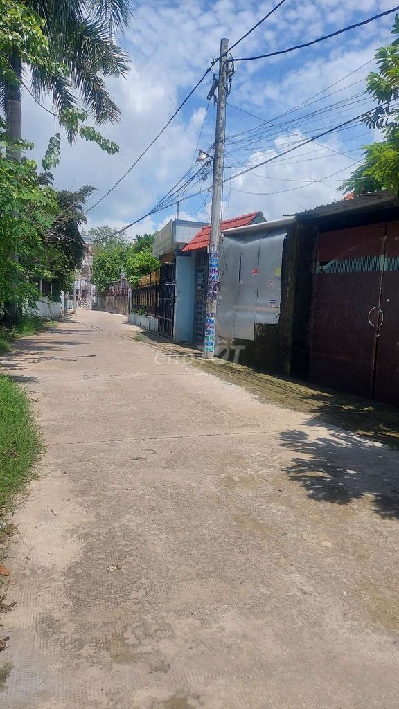 4328657 ảnh đại diện 2