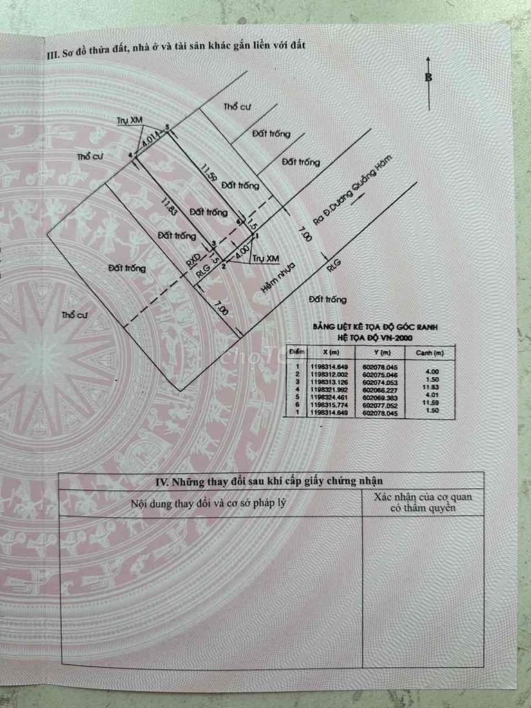 4329266 ảnh đại diện 2