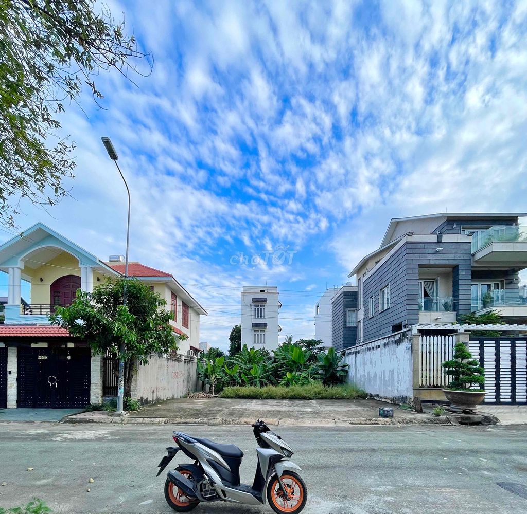 4329155 ảnh đại diện 2