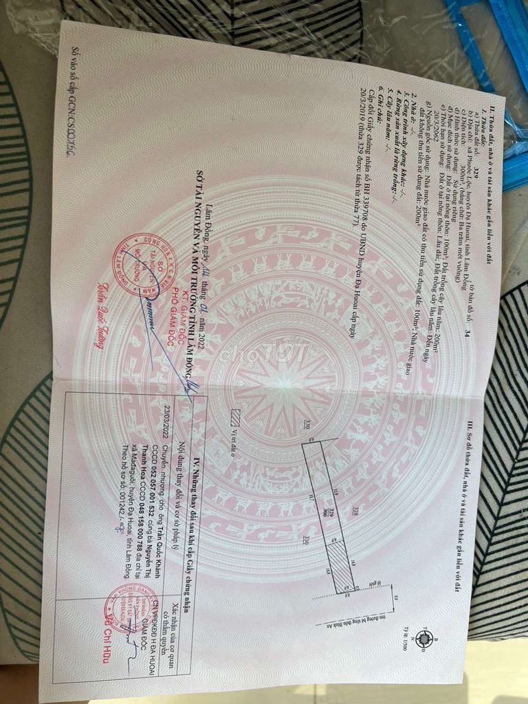 4328976 ảnh đại diện 1
