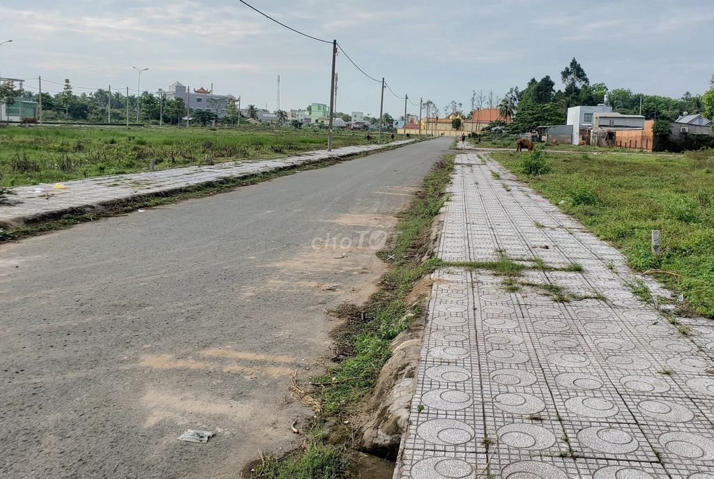 4330967 ảnh đại diện 1