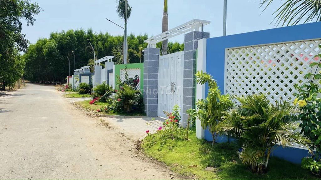 4330557 ảnh đại diện 1