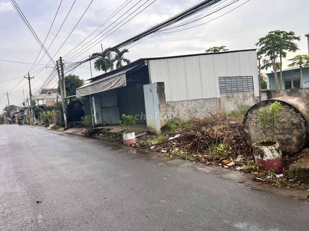 4330424 ảnh đại diện 1