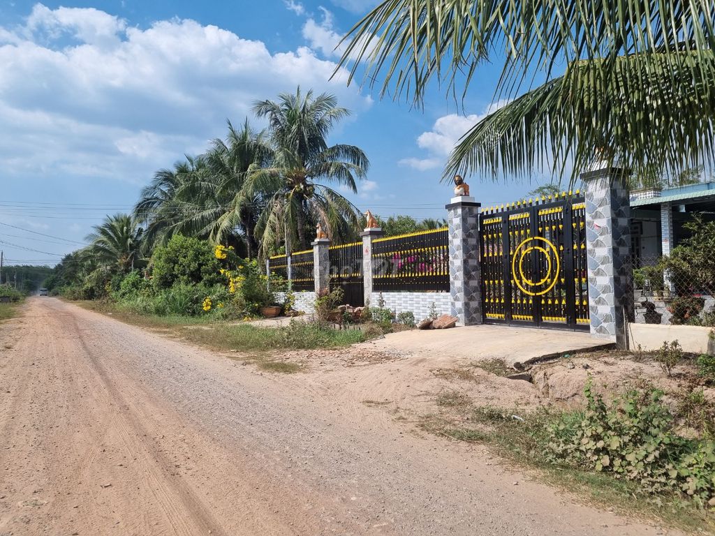 4329112 ảnh đại diện 1