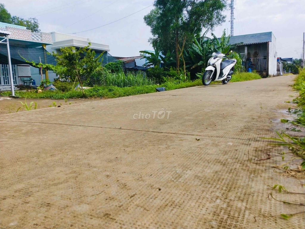 4330517 ảnh đại diện 2