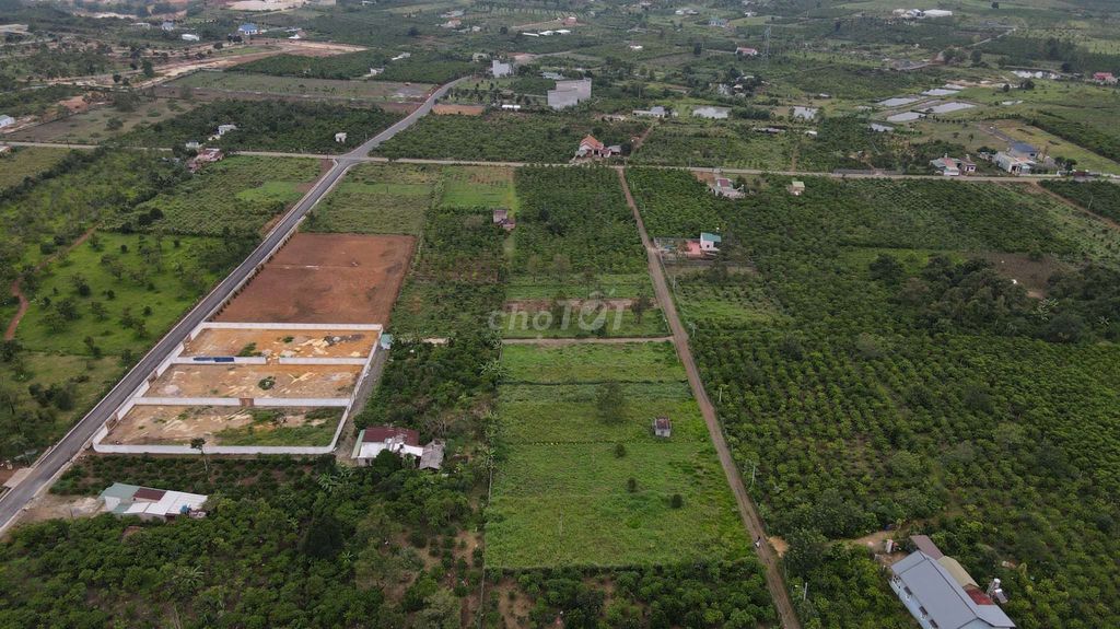 4329229 ảnh đại diện 2