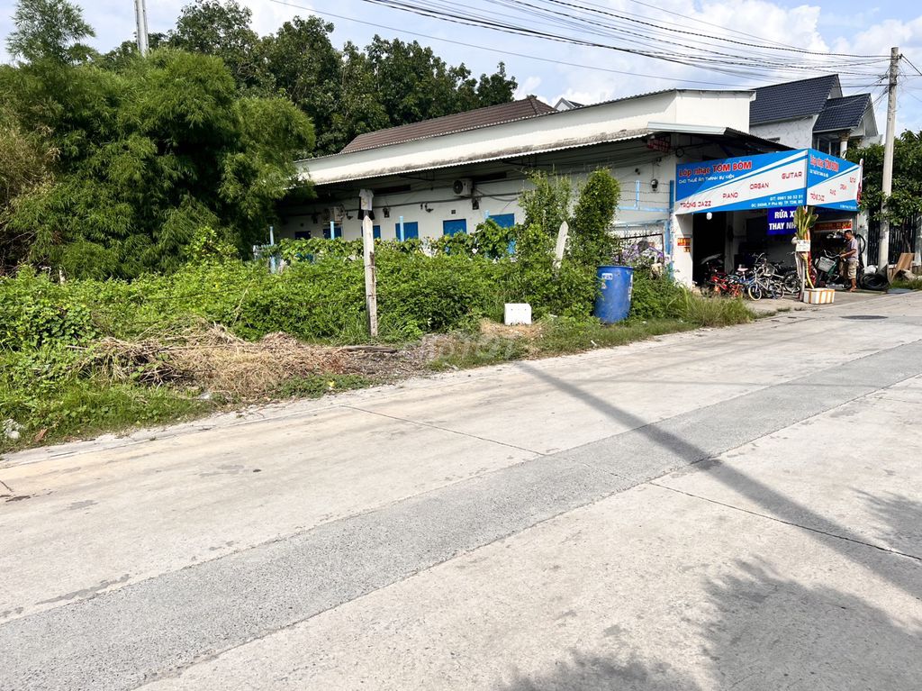 4328747 ảnh đại diện 1
