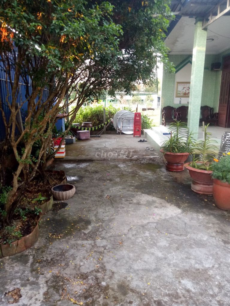 4330326 ảnh đại diện 1