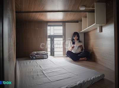 4328401 ảnh đại diện 1