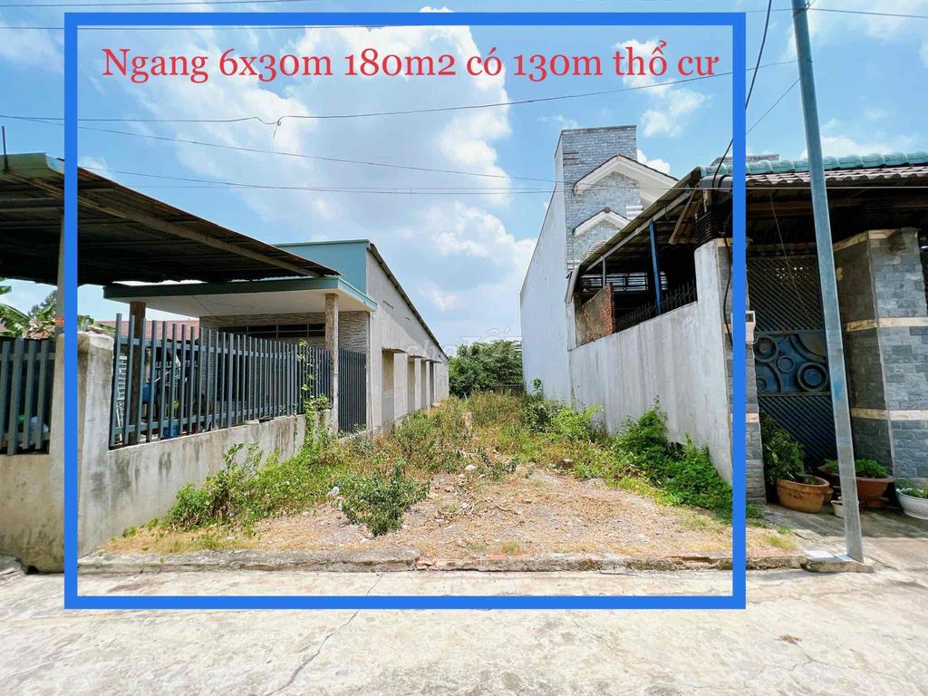 4332740 ảnh đại diện 1