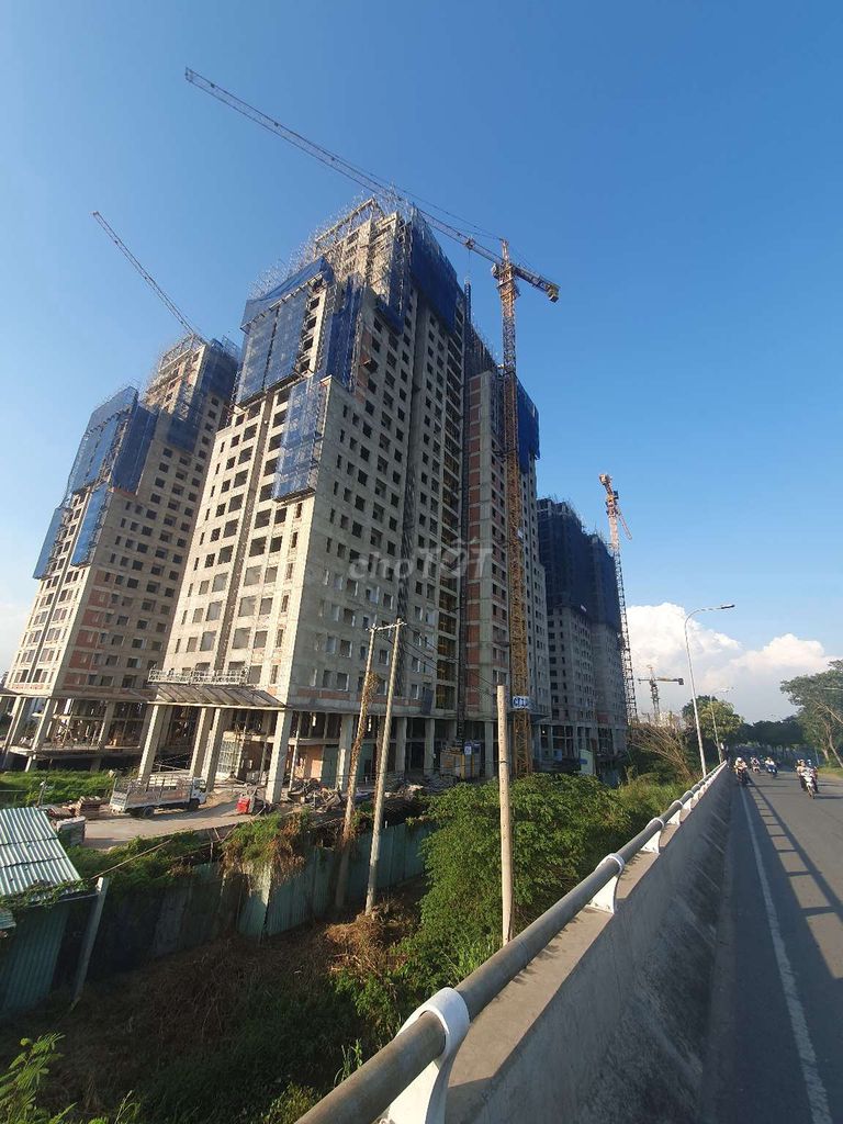 4334448 ảnh đại diện 2