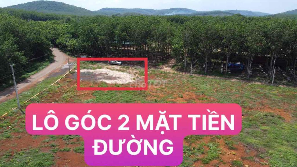 4330287 ảnh đại diện 1