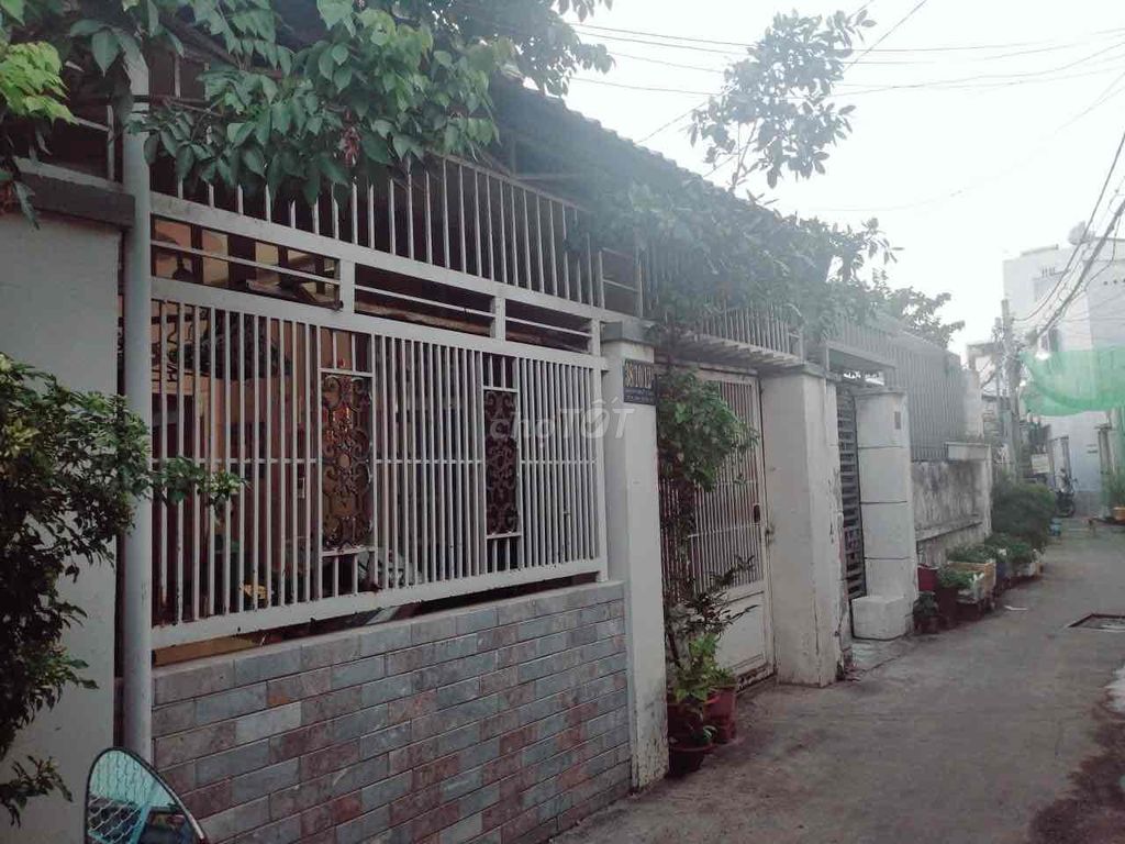 4330849 ảnh đại diện 1