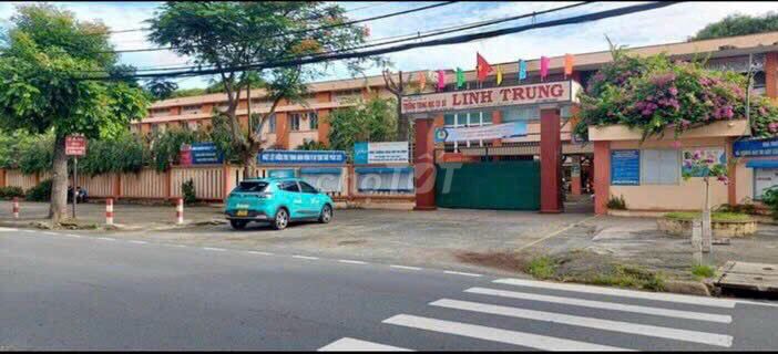 4327805 ảnh đại diện 2