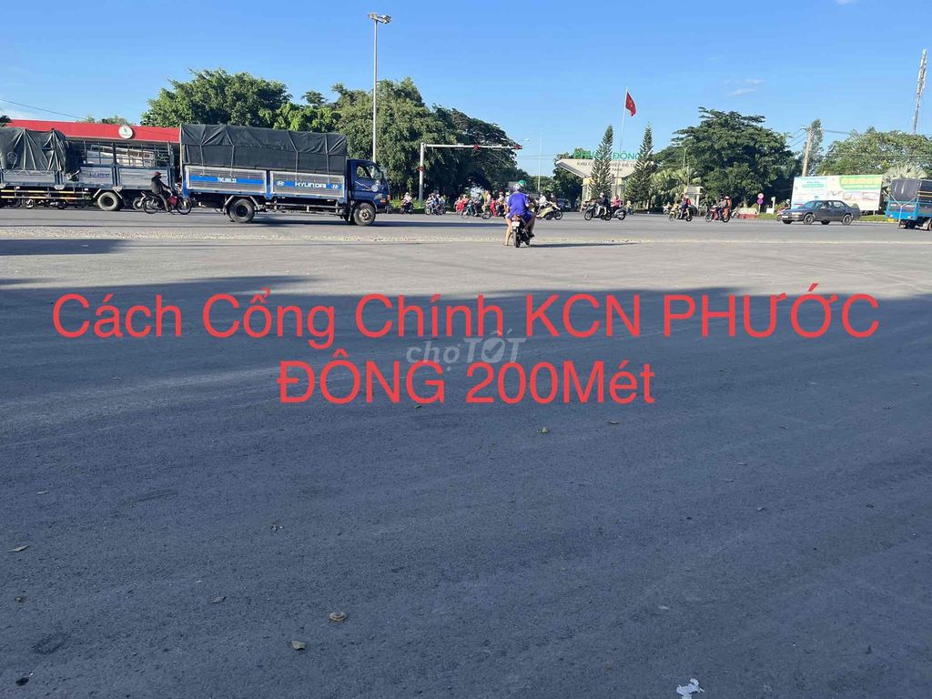 4330578 ảnh đại diện 1