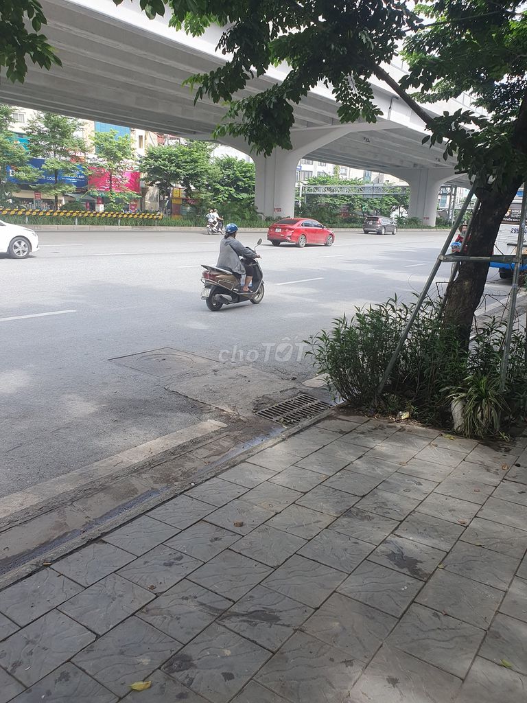 4334369 ảnh đại diện 2