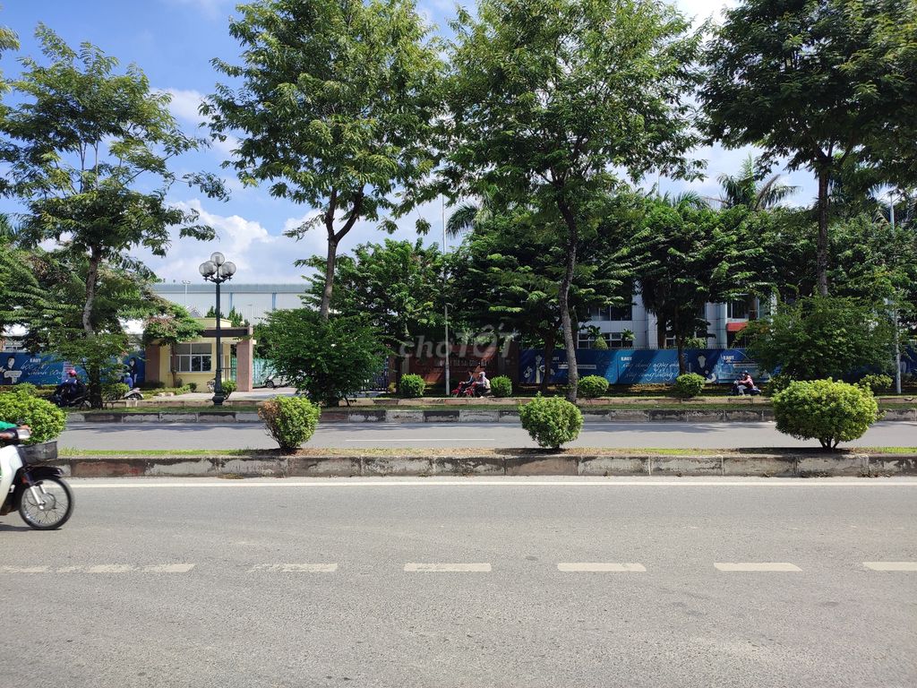 4328305 ảnh đại diện 1
