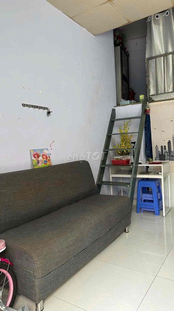 4331033 ảnh đại diện 2