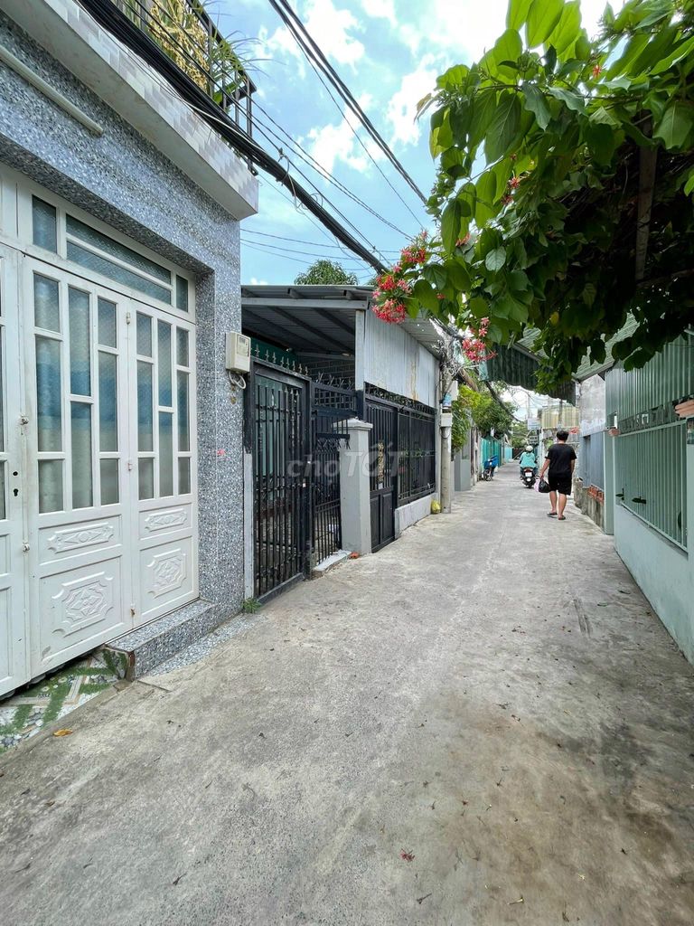 4331108 ảnh đại diện 1