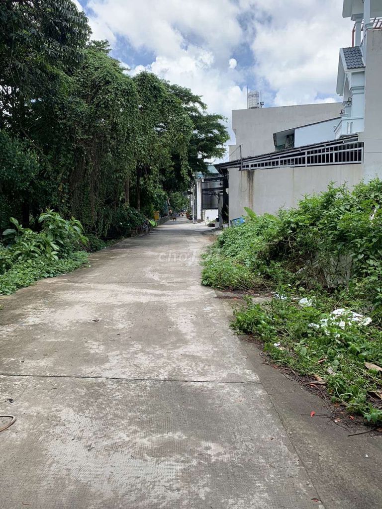 4327408 ảnh đại diện 1